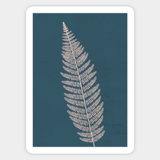 Fern, Botanical, Nordic, Scandinavian Wall Art 4 Sticker